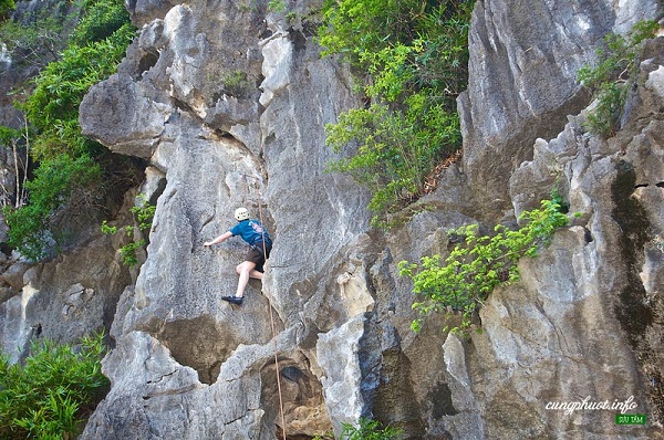 what to do in ha long