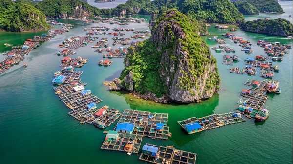 Halong Bay Culture