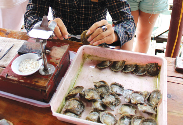 pearl farm village in Ha Long Bay