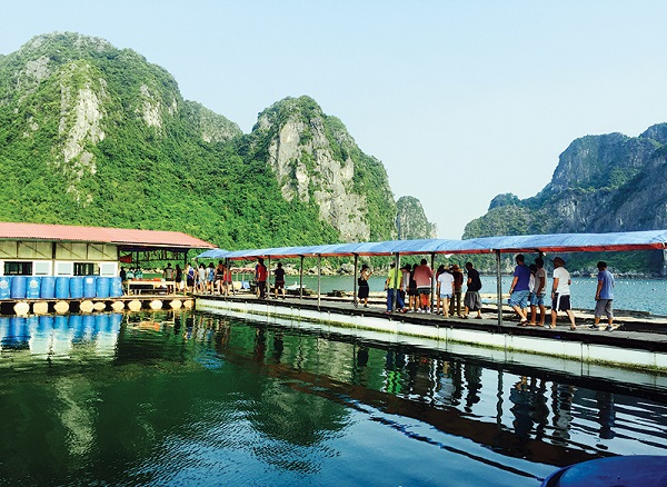 pearl farm village in Ha Long Bay