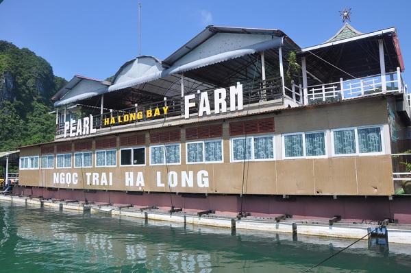 pearl farm village in Ha Long Bay